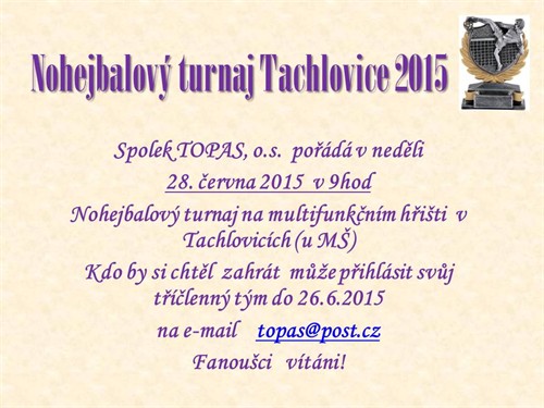 Nohejbalový turnaj Tachlovice 20151.jpg